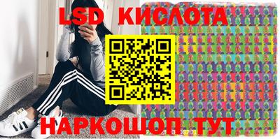 a pvp Камышлов