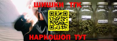 a pvp Камышлов