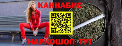 a pvp Камышлов