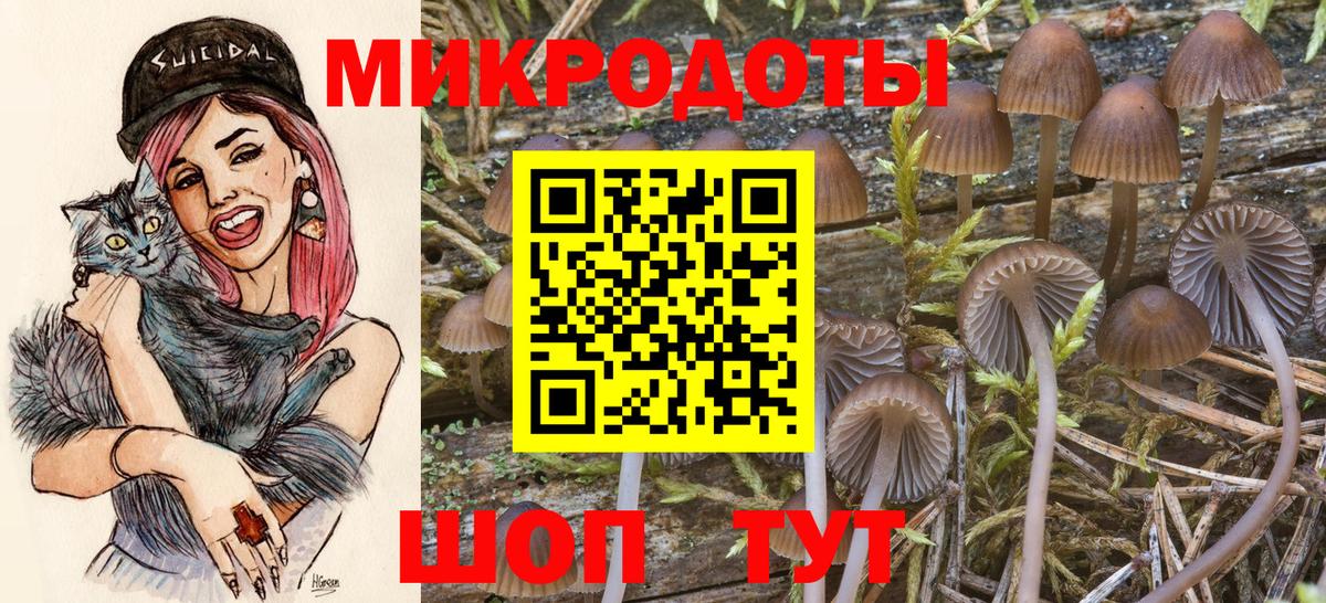 Псилоцибиновые грибы Psilocybine cubensis  Вход с VPN  Крымск 